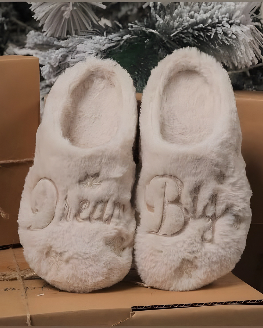 Dream Big White Slippers